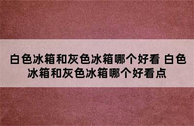 白色冰箱和灰色冰箱哪个好看 白色冰箱和灰色冰箱哪个好看点